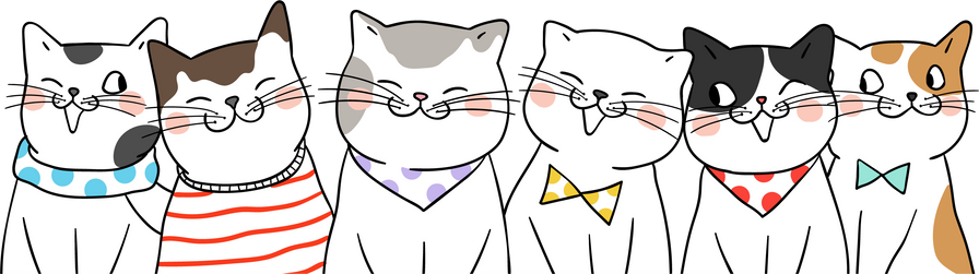 Cute cat character cartoon